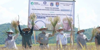 Ketika Anies Baswedan Panen Raya di Basis Pangan Jawa Tengah