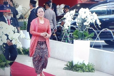 Momoles Puan Maharani, Relawan 34 Daerah di Bentuk