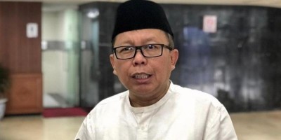 PPP soal 'Biru Lepas dari Jokowi': Ada Ketegangan PDIP dan NasDem  